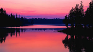 evening